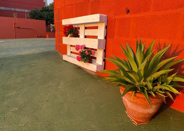 Дом отдыха Casa Palmiras